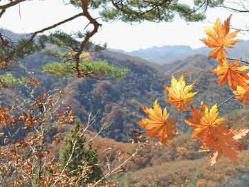 2025年10月9日