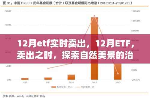 第553页