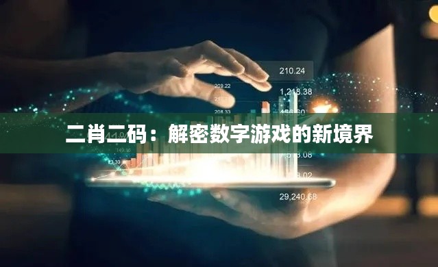 二肖二码:解密数字游戏的新境界