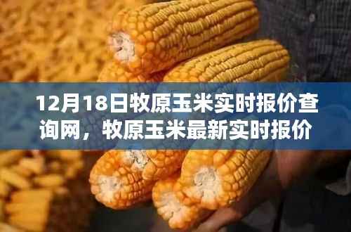 12月18日牧原玉米实时报价在线查询指南