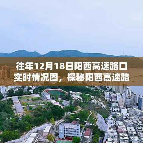 探秘阳西高速路口隐藏版特色小店，奇遇记与小巷深处的独特风味
