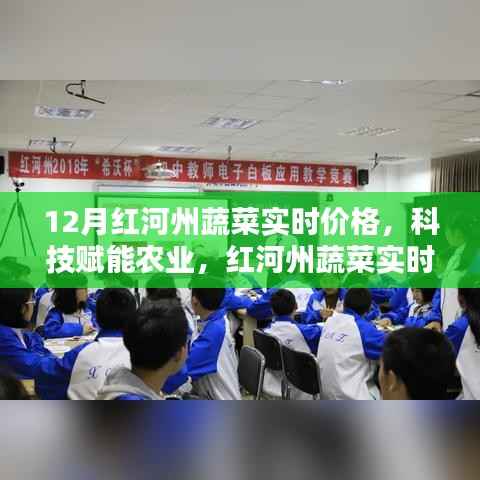 科技赋能下的红河州蔬菜实时价格智能监控,开启智慧农业新时代