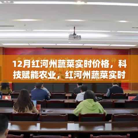 科技赋能下的红河州蔬菜实时价格智能监控,开启智慧农业新时代