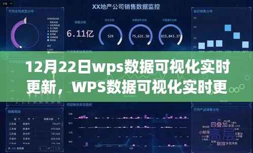 WPS数据可视化实时更新解析，探索12月22日三大要点数据可视化报告