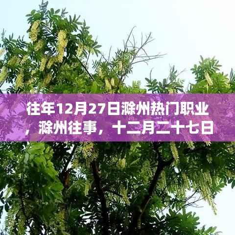 滁州十二月二十七日职业风采变迁回顾，历史影响与今日热门职业解析
