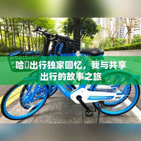 哈啰出行独家回忆,我与共享出行的故事之旅