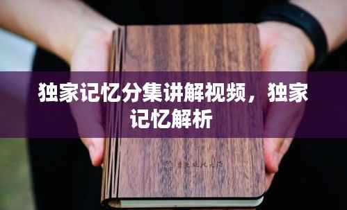 独家记忆分集讲解视频，独家记忆解析 