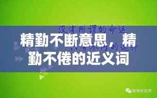精勤不断意思,精勤不倦的近义词