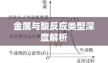 金属与酸反应类型深度解析