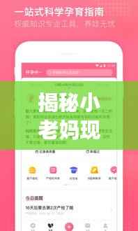 揭秘小老妈现象,开挂般的百度搜索之旅!