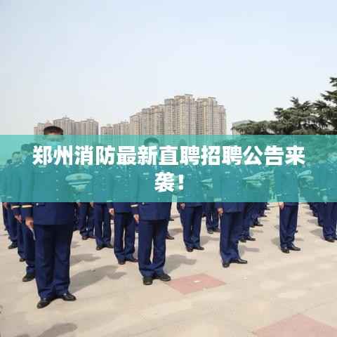 鸟骇鼠窜