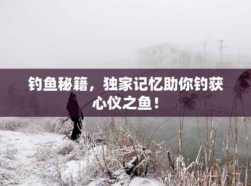 钓鱼秘籍，独家记忆助你钓获心仪之鱼！