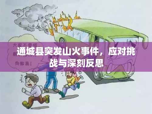 通城县突发山火事件，应对挑战与深刻反思
