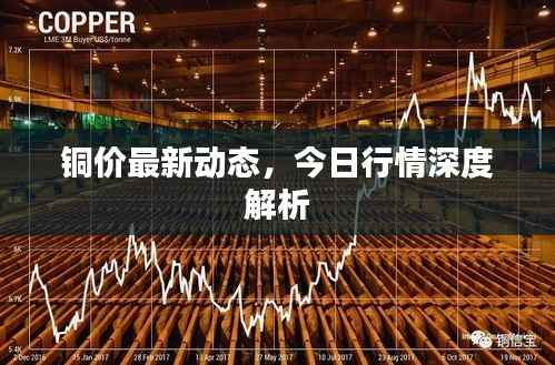 铜价最新动态，今日行情深度解析