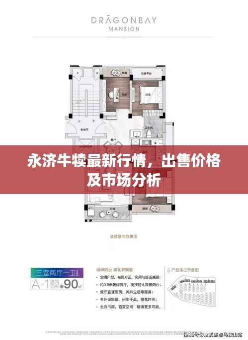 永济牛犊最新行情，出售价格及市场分析