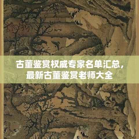 古董鉴赏权威专家名单汇总,最新古董鉴赏老师大全